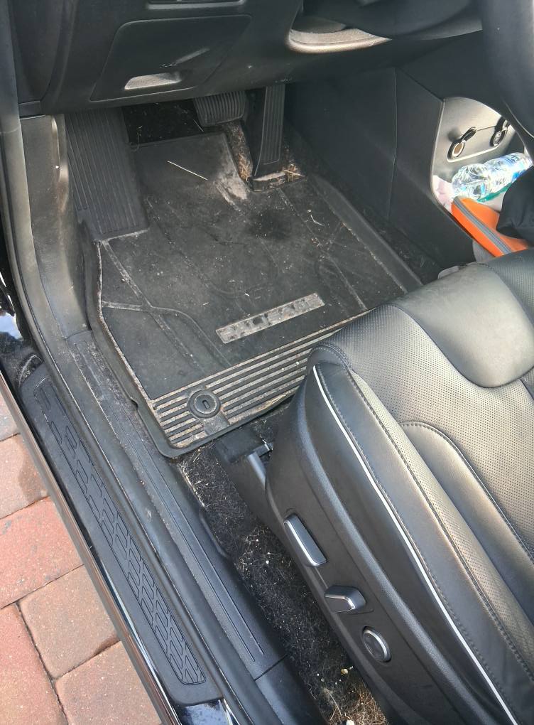 Dirty car floor mat and door sill before deep cleaning