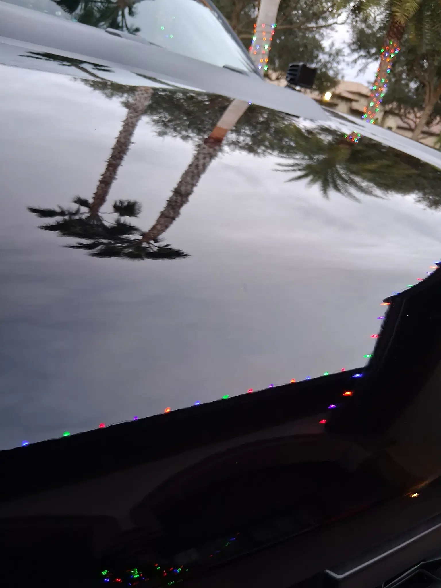 Paint repair by Diamond Auto Spa — swirl marks and oxidation removed with machine polishing